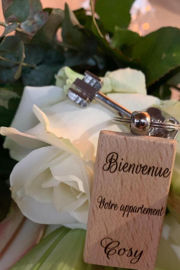 Luxe Et Calme En Hyper Centre - La Cour Des Bois Διαμέρισμα Λυών Εξωτερικό φωτογραφία